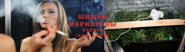 прущие крисы Гусев