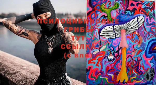 соль курить ск Гусиноозёрск