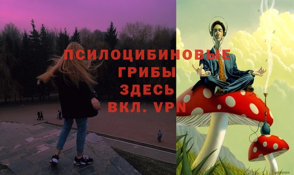 МДПВ Гусь-Хрустальный