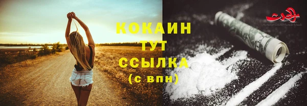 прущие крисы Гусев
