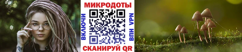 hydra ссылка  Михайловск  Галлюциногенные грибы Magic Shrooms 