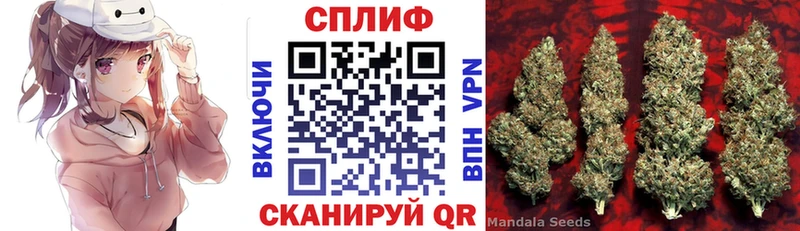 Шишки марихуана планчик  купить  цена  Михайловск 